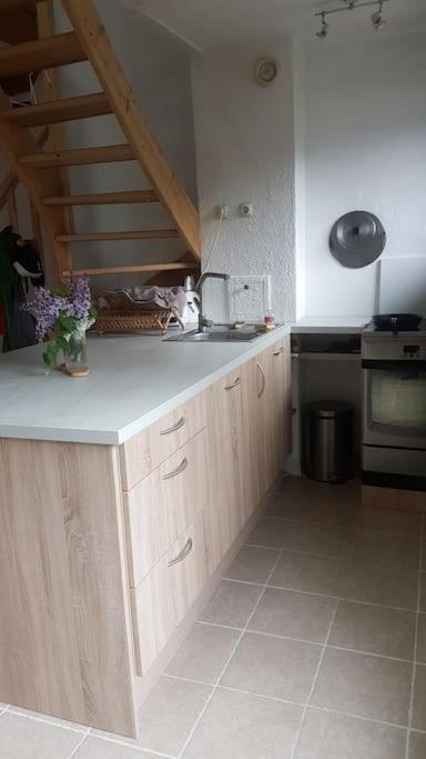 Beau Duplex Lumineux A La Montagne Nice Flat Just Underneath Mtblanc Les Houches Exterior foto